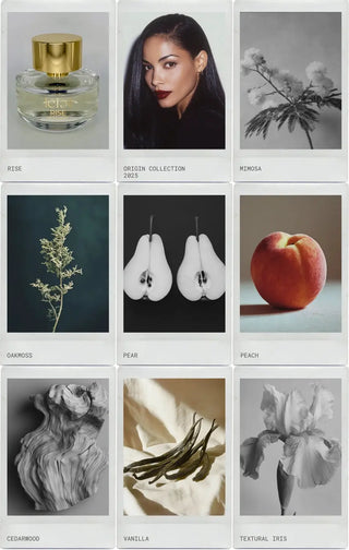 RISE by Leier Fragrances