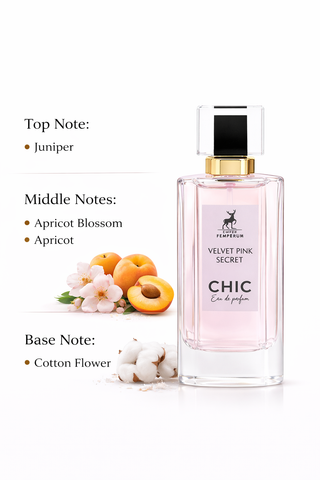 Chic Velvet Pink Secret