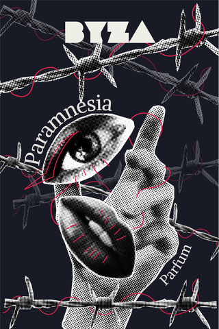 Paramnesia